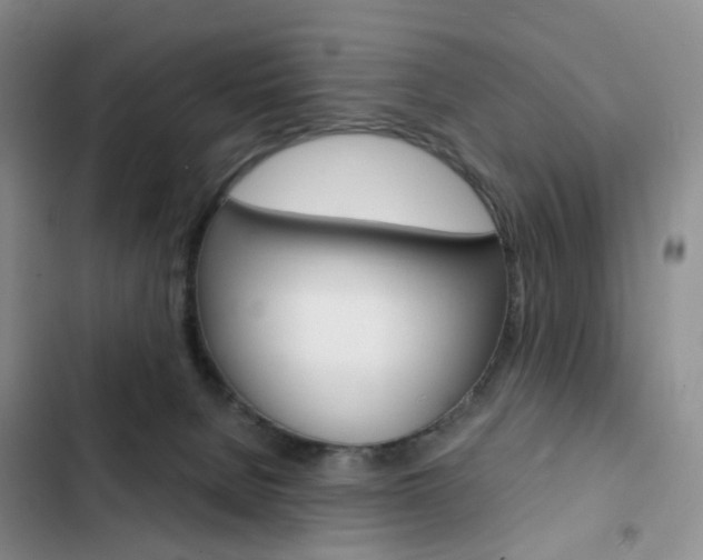 X0000103160080200808221202