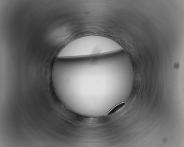X0000103160082200808221202
