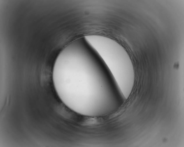 X0000103160083200808221202
