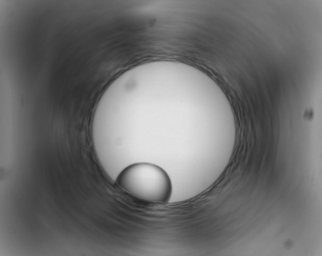 X0000103160084200808221202