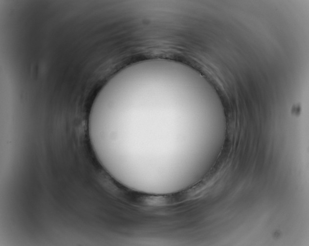 X0000103160085200808221202