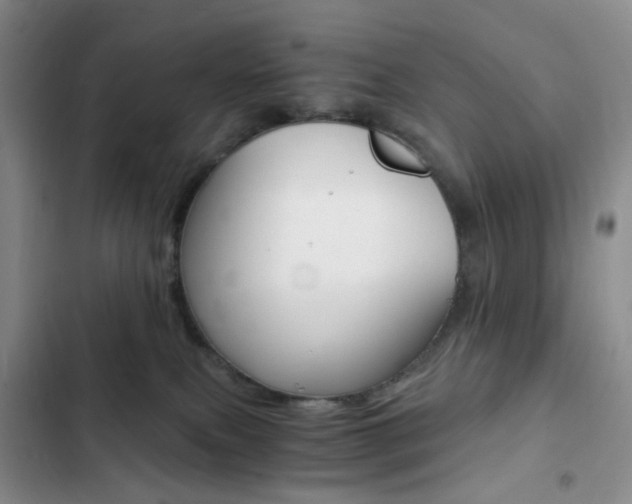 X0000103160087200808221202