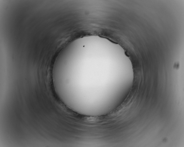 X0000103160088200808221202