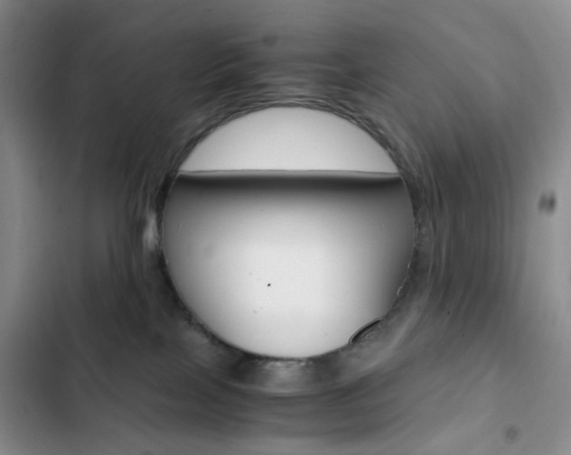 X0000103160089200808221202