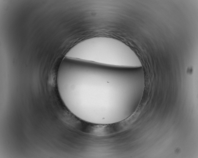 X0000103160090200808221202