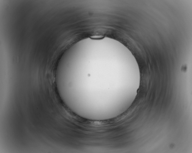 X0000103160091200808221202