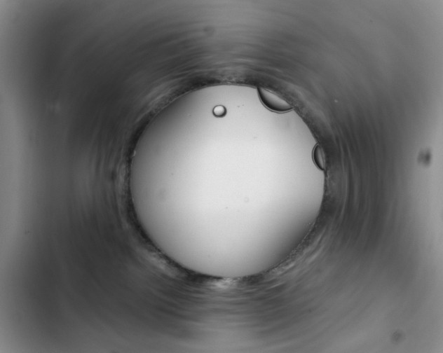 X0000103160092200808221202