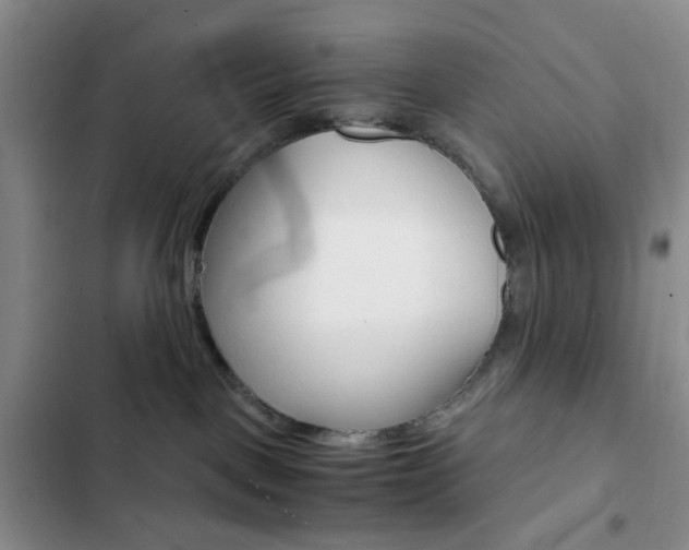 X0000103160093200808221202