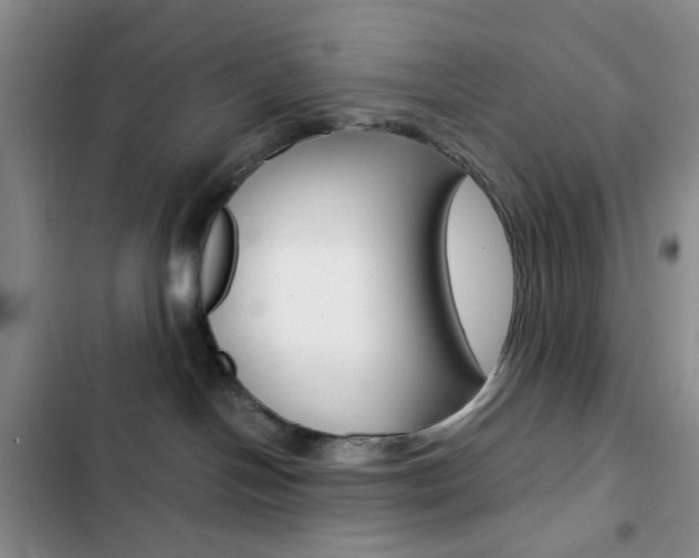 X0000103160094200808221202
