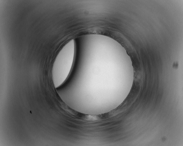 X0000103160095200808221202