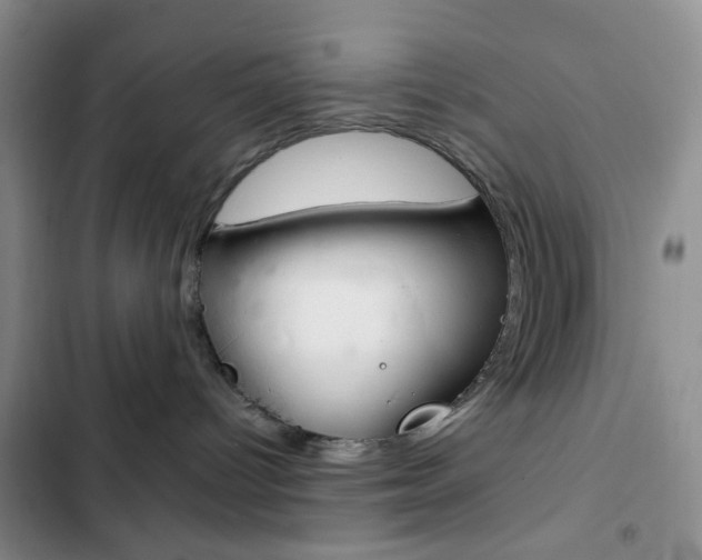 X0000103160096200808221202