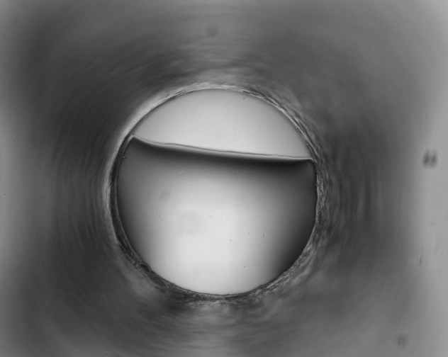 X0000103160100200808221201