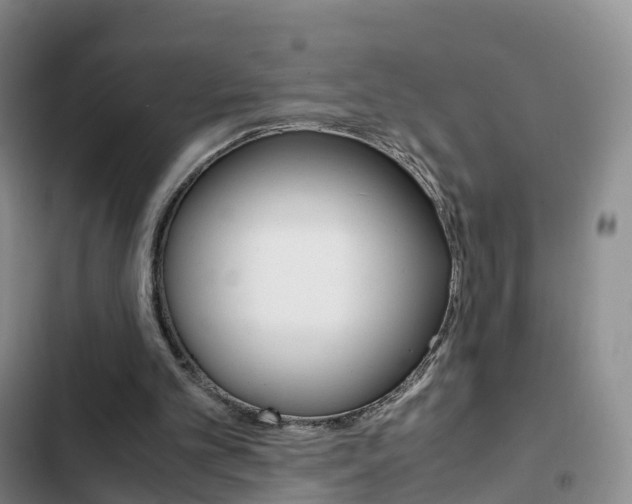 X0000103160101200808221201