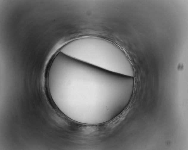 X0000103160102200808221201