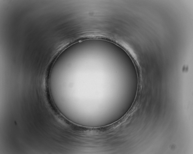 X0000103160105200808221201