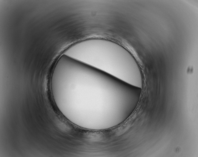 X0000103160106200808221201