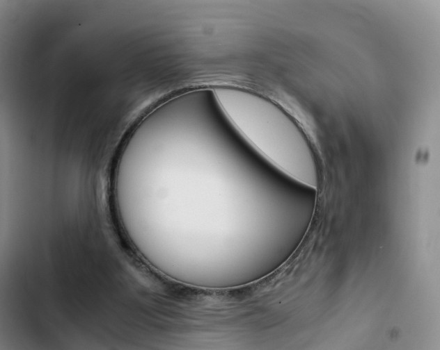 X0000103160107200808221201