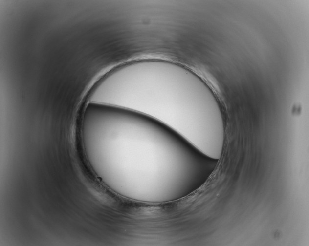 X0000103160108200808221201