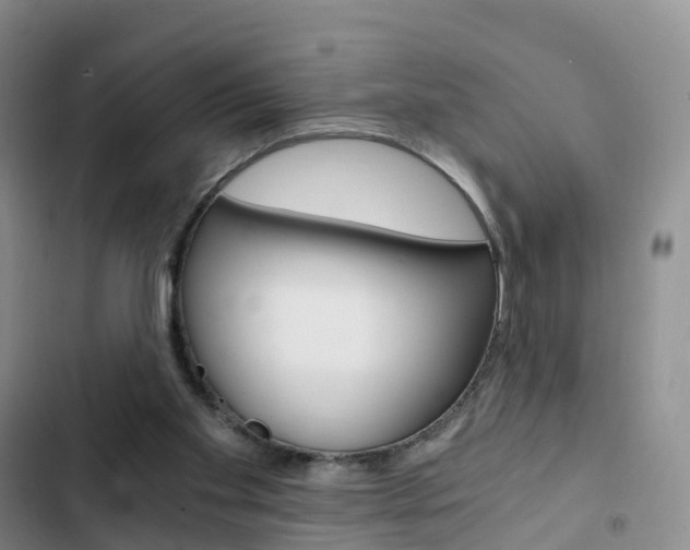 X0000103160109200808221201