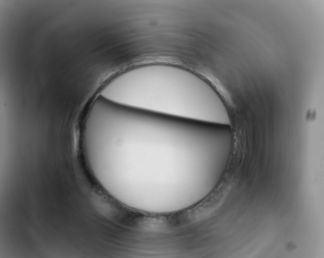 X0000103160110200808221201