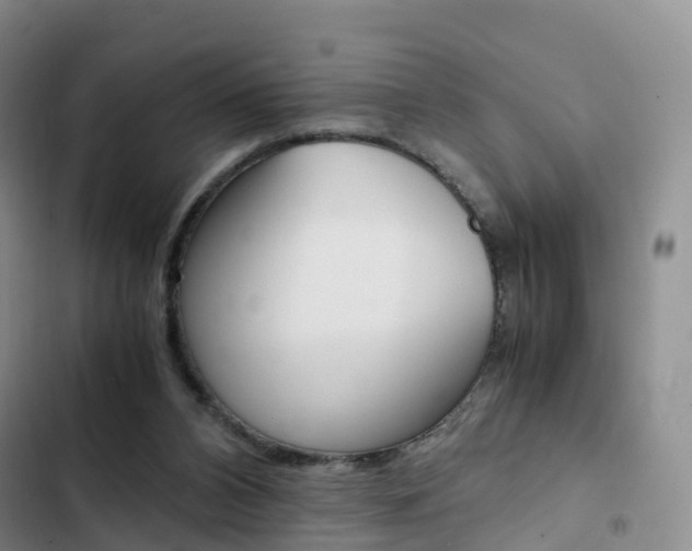 X0000103160112200808221201