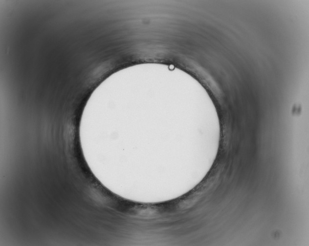X0000103160113200808221201