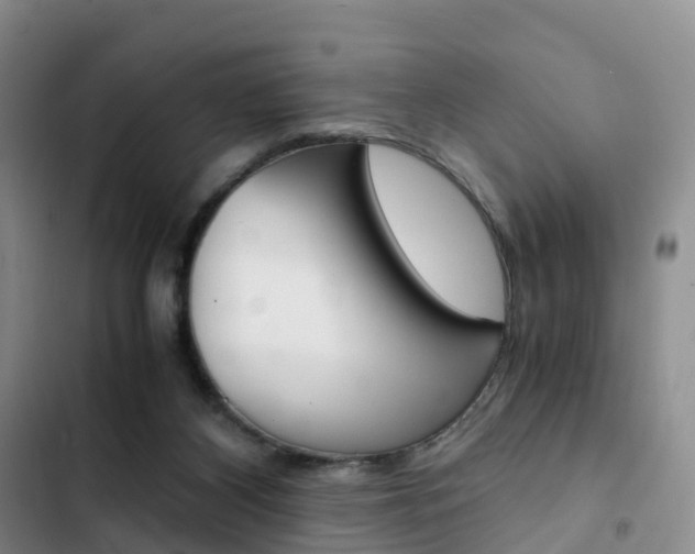 X0000103160116200808221201