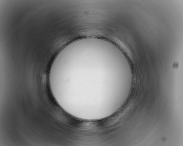 X0000103160117200808221201