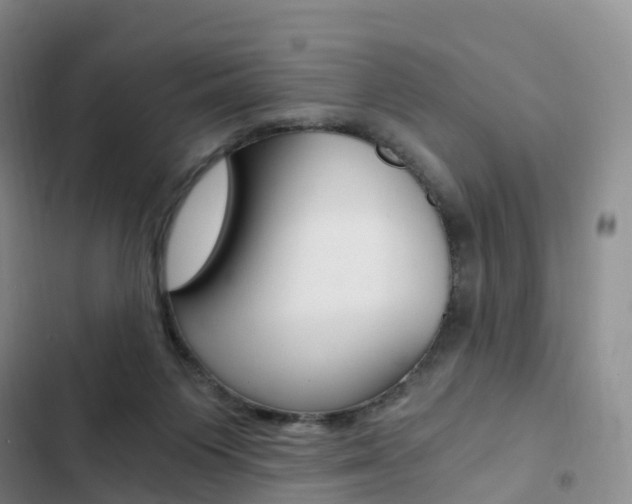 X0000103160119200808221201