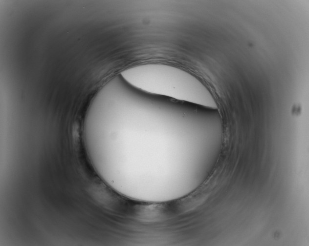 X0000103160122200808221201