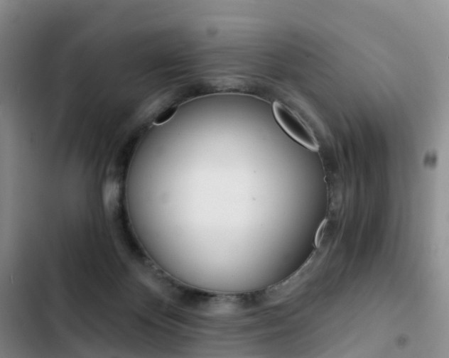X0000103160124200808221201