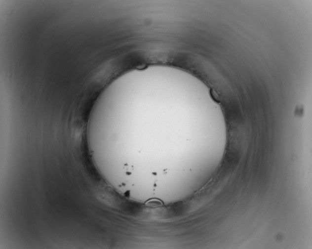 X0000103160125200808221201
