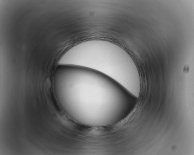 X0000103160128200808221201
