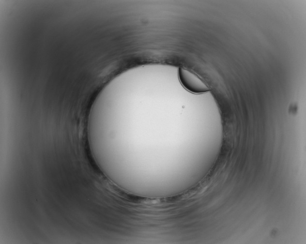 X0000103160131200808221201
