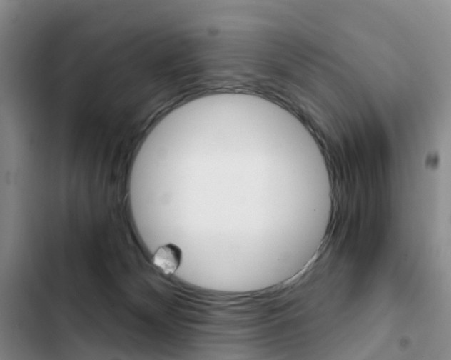 X0000103160132200808221201