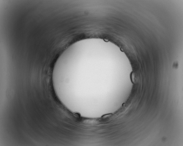 X0000103160133200808221201