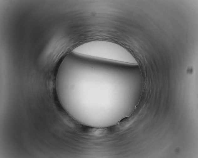 X0000103160135200808221201