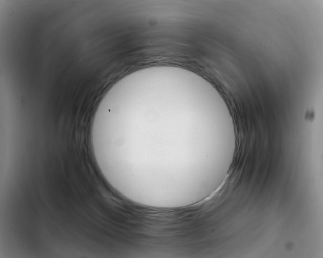 X0000103160136200808221201