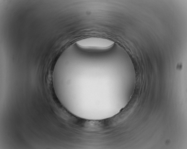 X0000103160137200808221201