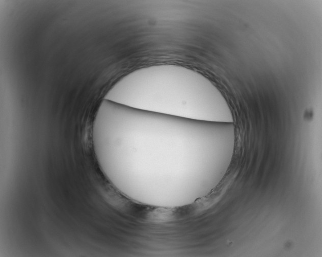 X0000103160138200808221201