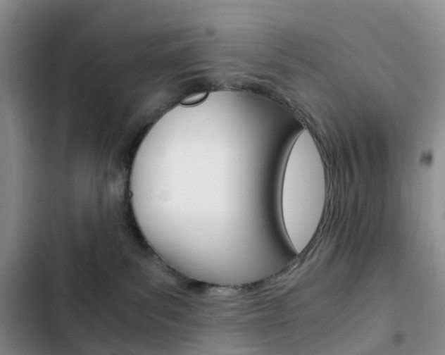 X0000103160139200808221201