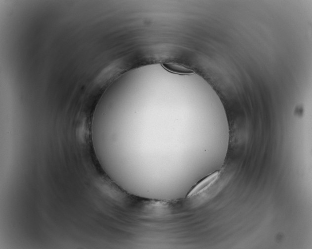 X0000103160140200808221201