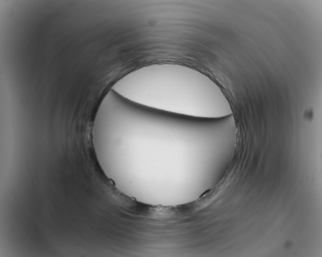 X0000103160141200808221201