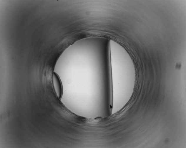 X0000103160143200808221201
