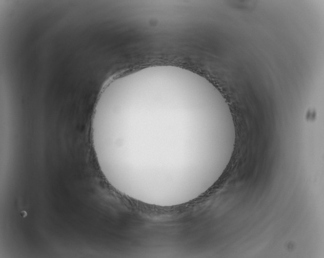 X0000103160144200808221201