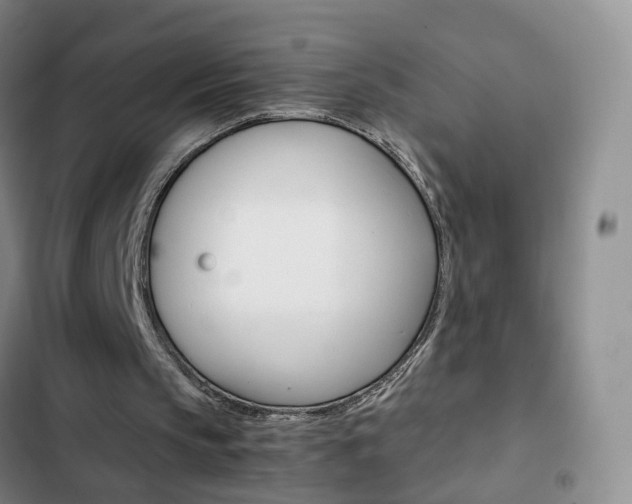 X0000103160145200808221200