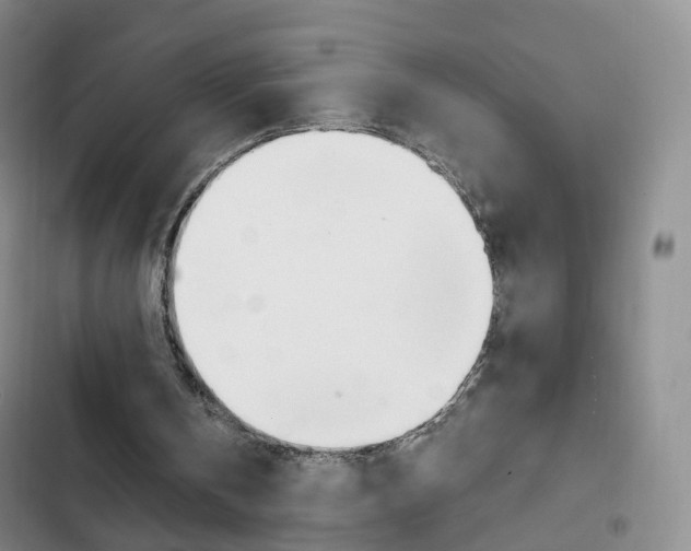 X0000103160146200808221200