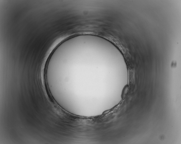 X0000103160147200808221200