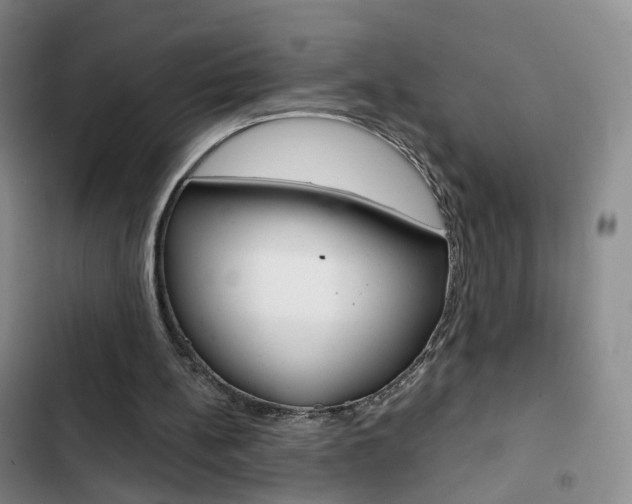 X0000103160148200808221200