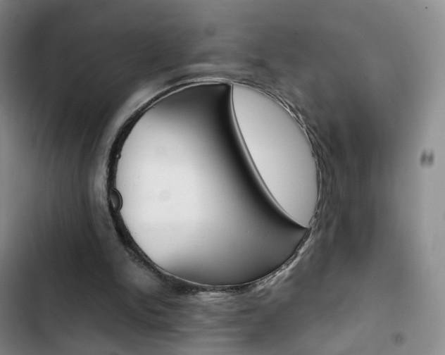 X0000103160150200808221200